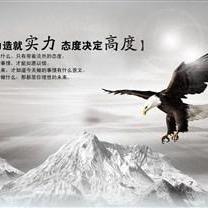 力