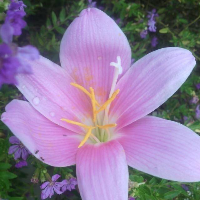 加油《一年级》