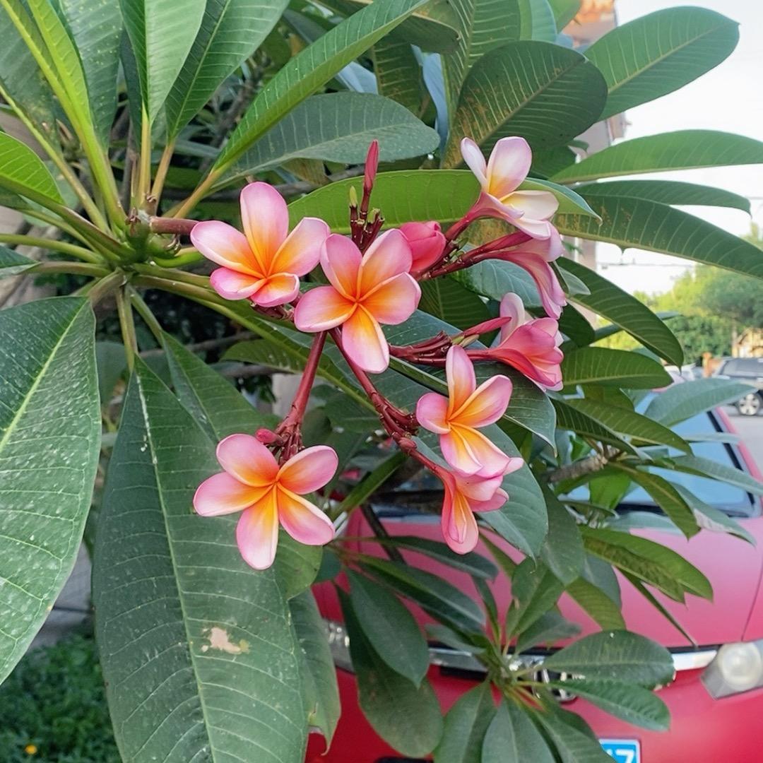 忘掉所有的烦恼