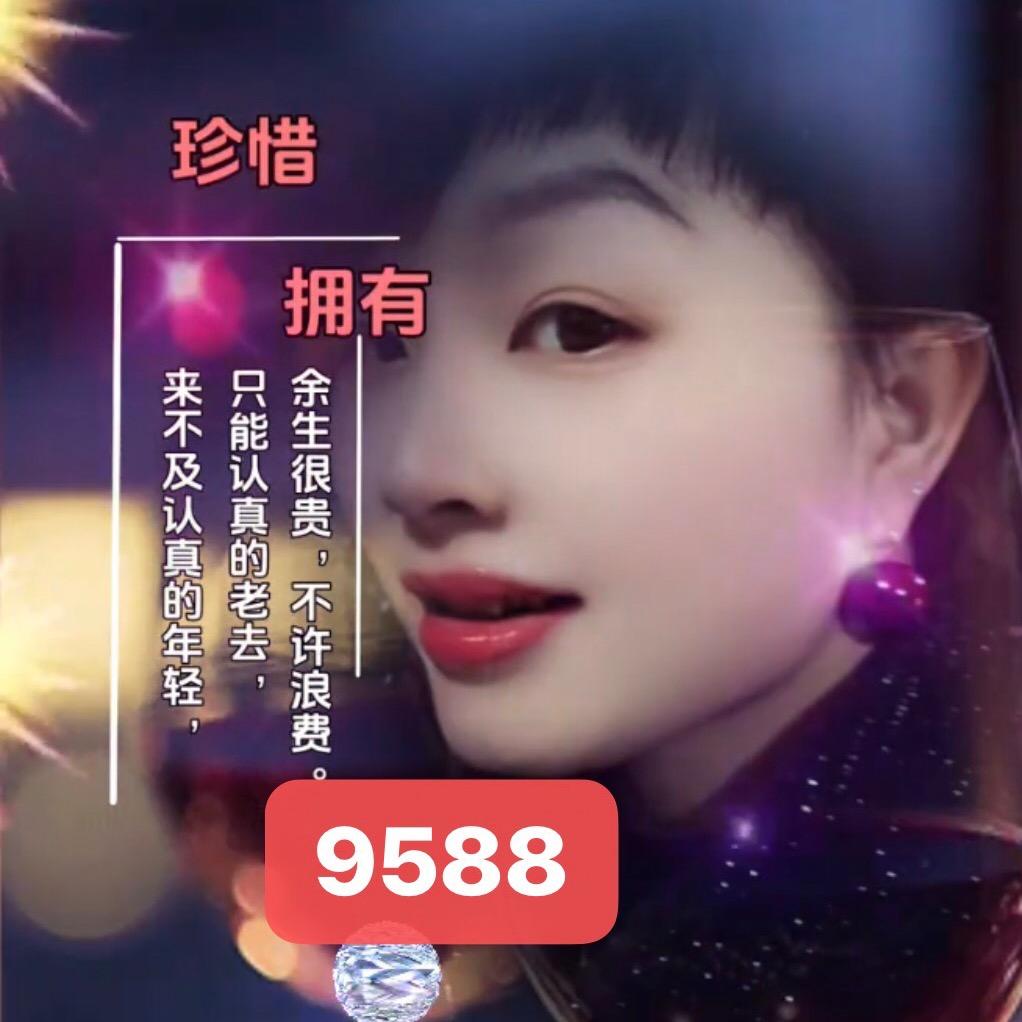 红霞女装9588（每天晚上21:30直播