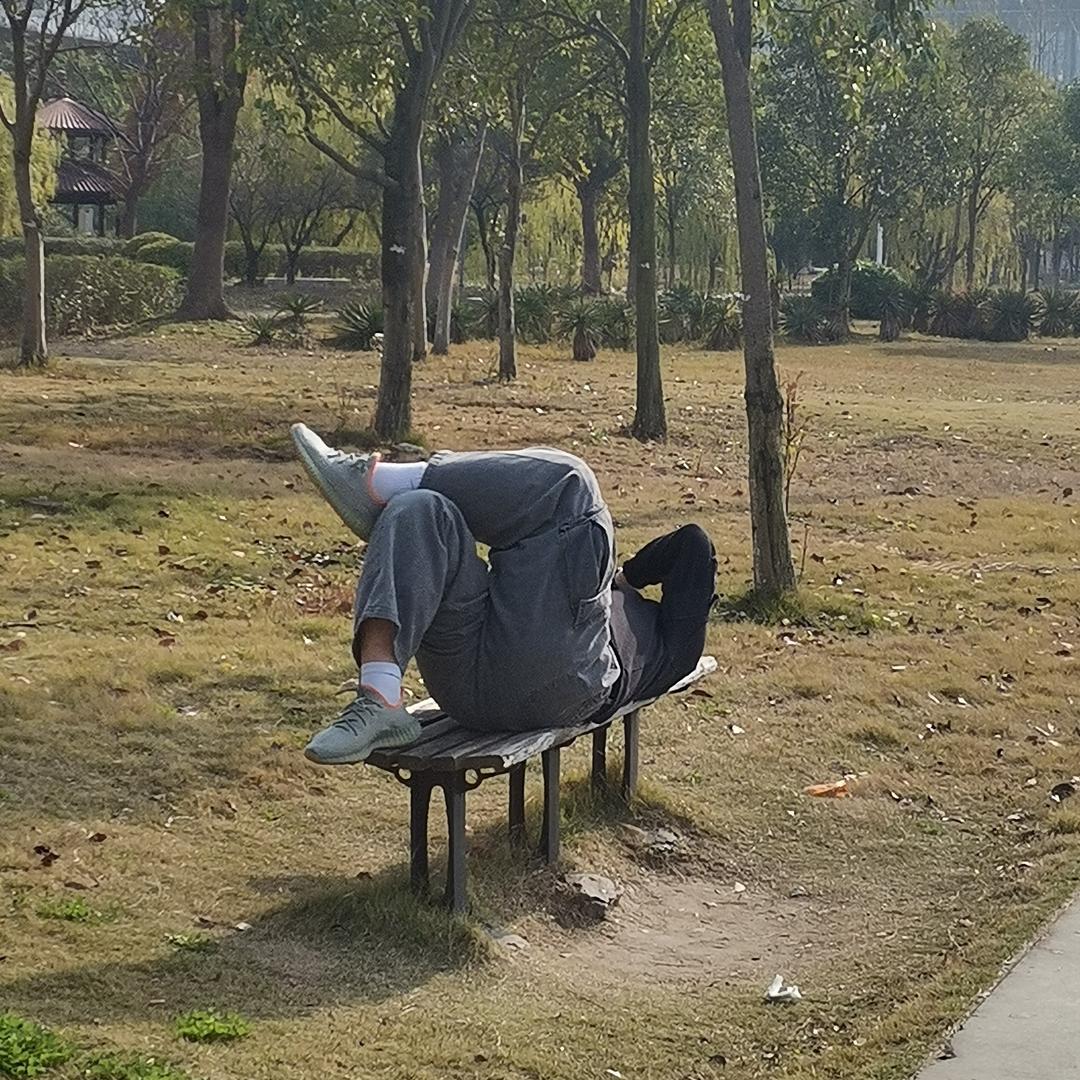 楠