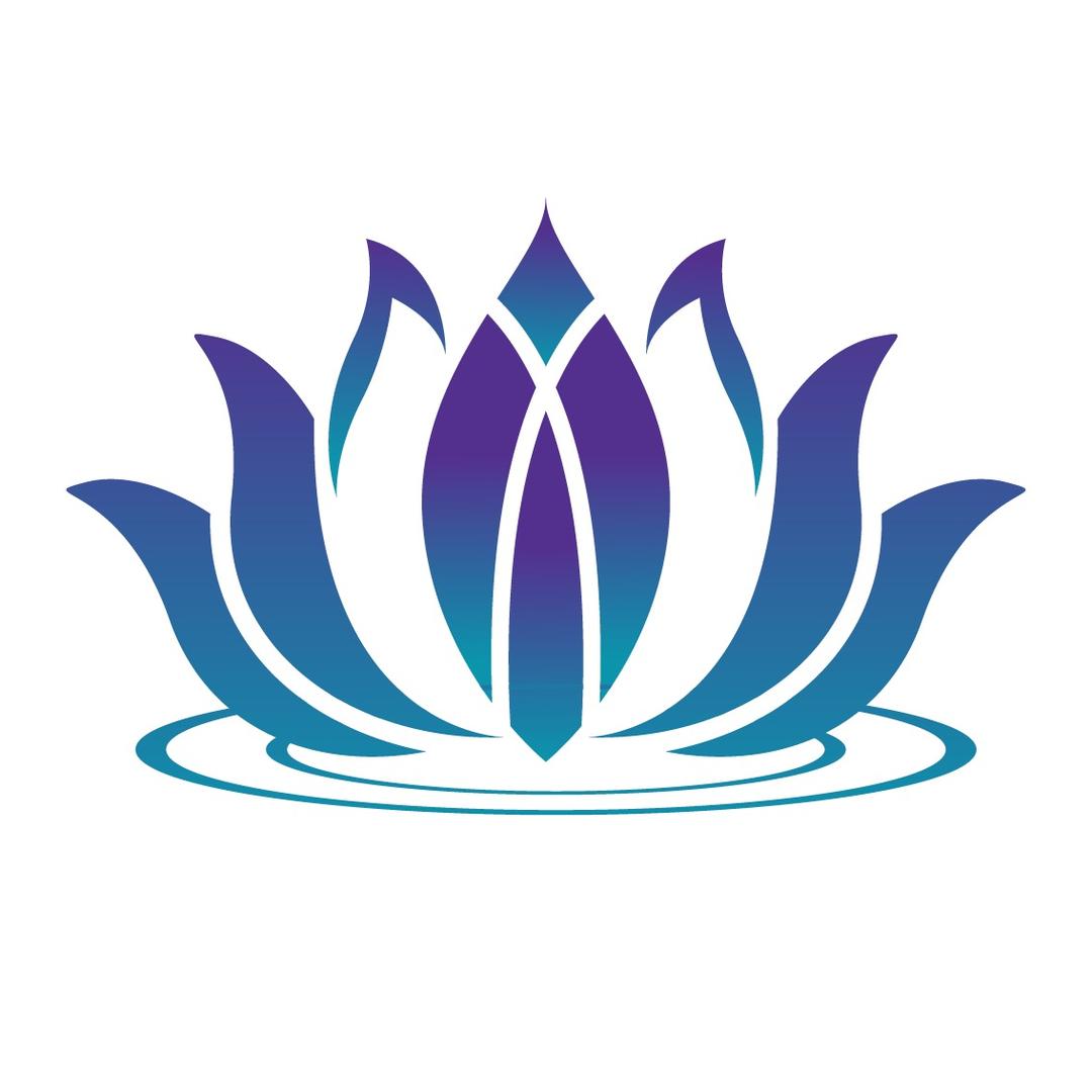 莲师原皮酸枣核