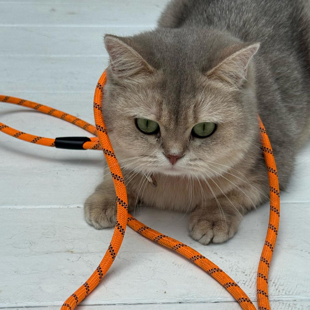 Mia.