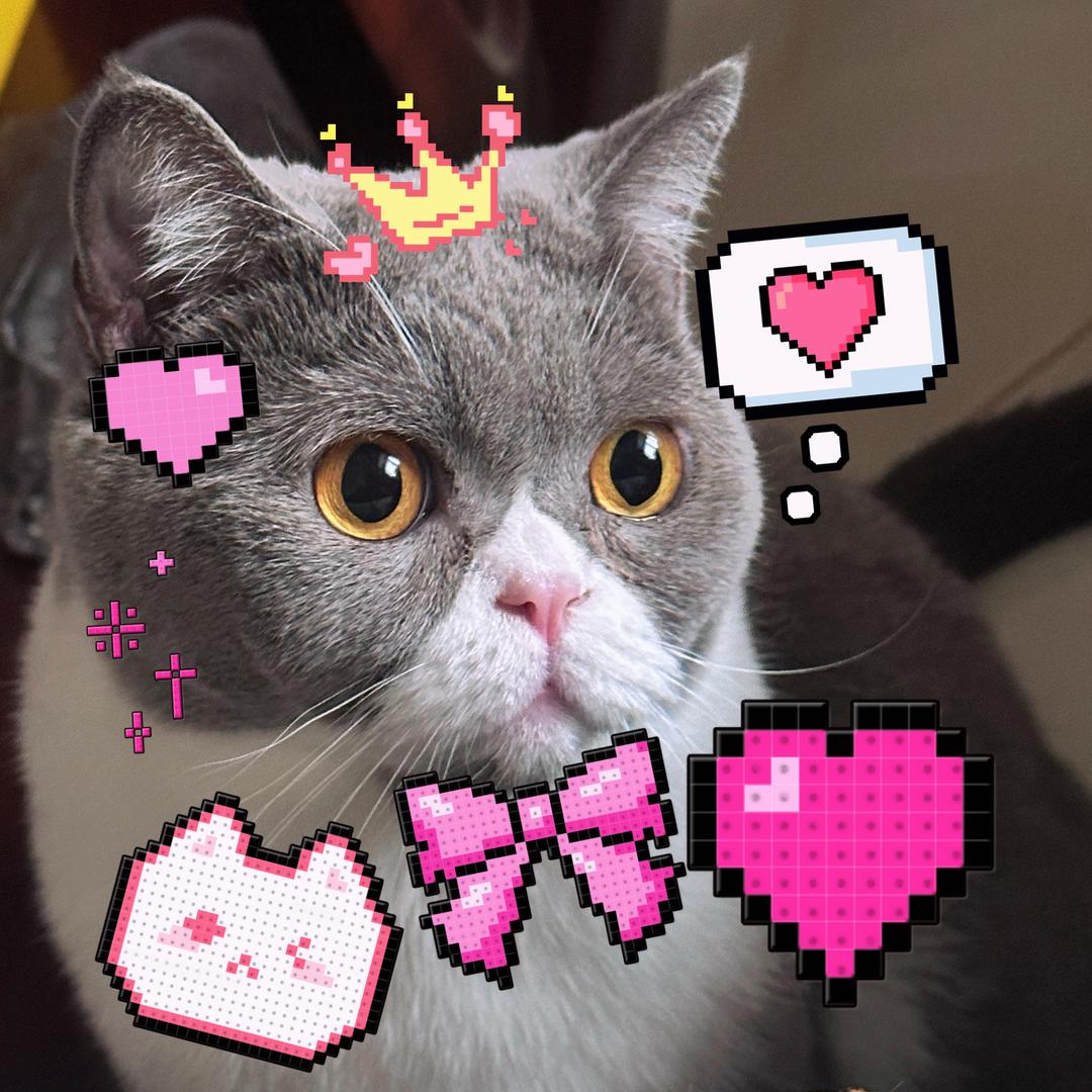 小苏🎀