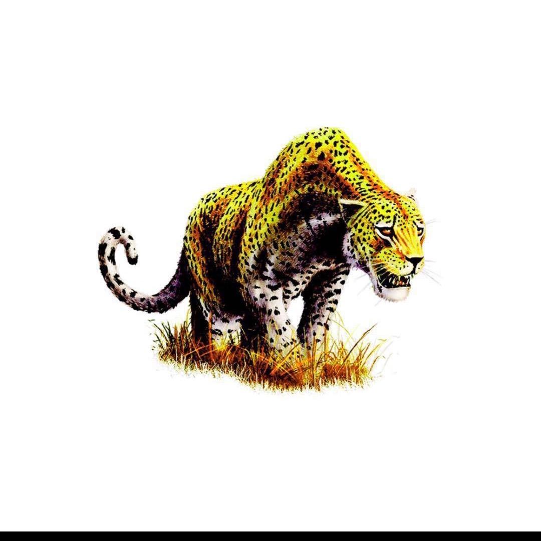 【天豪】小豪要发