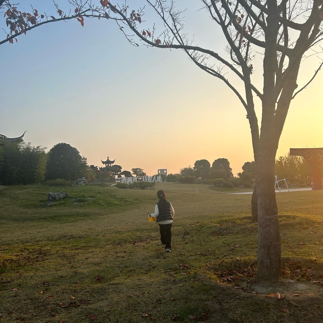 扬州升学规划月姐