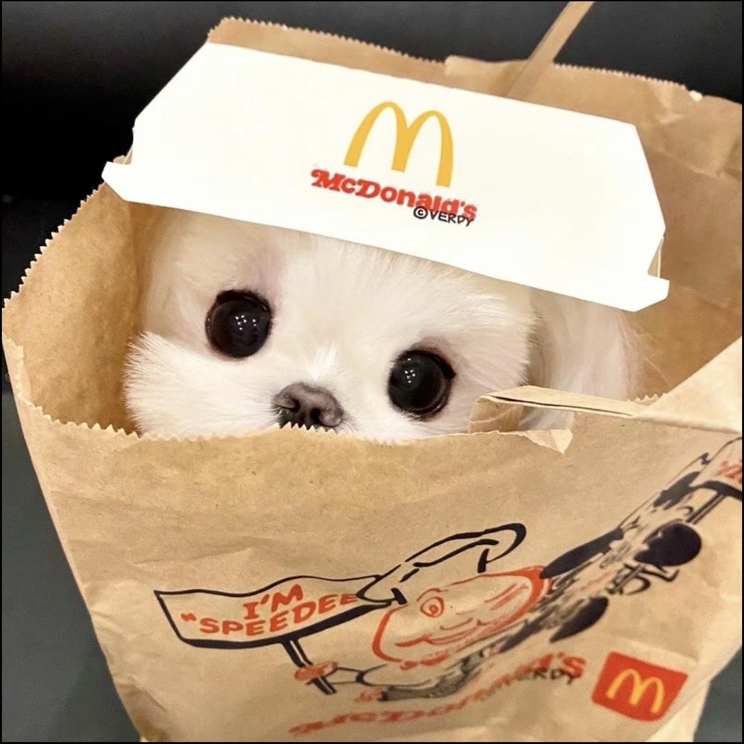 用户名是酒心巧克力