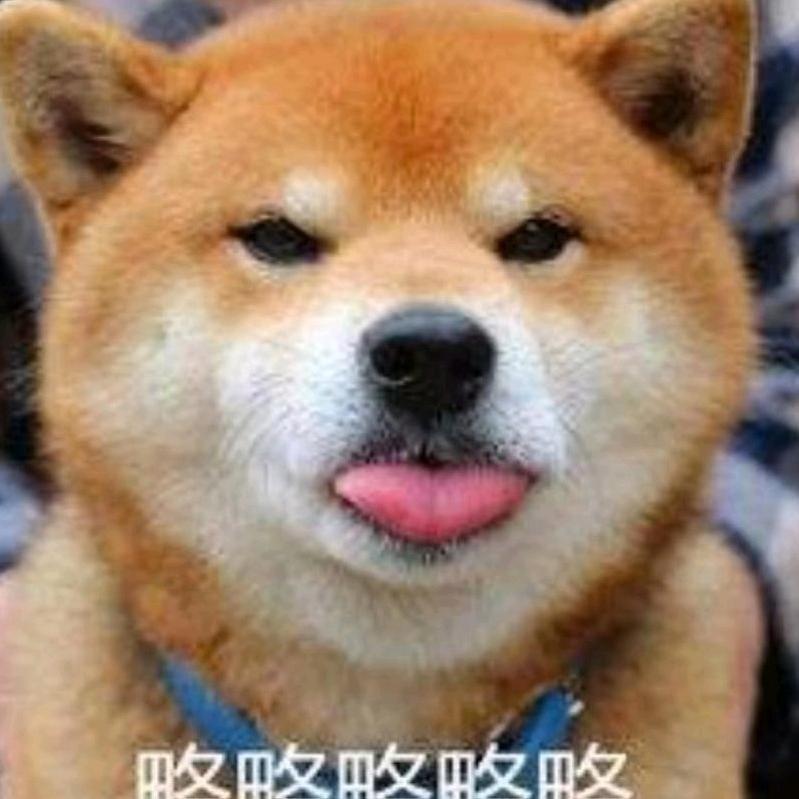 比巴卜