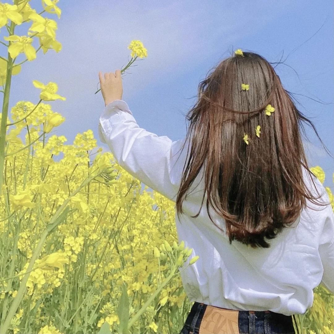 ✨婷婷学姐💫