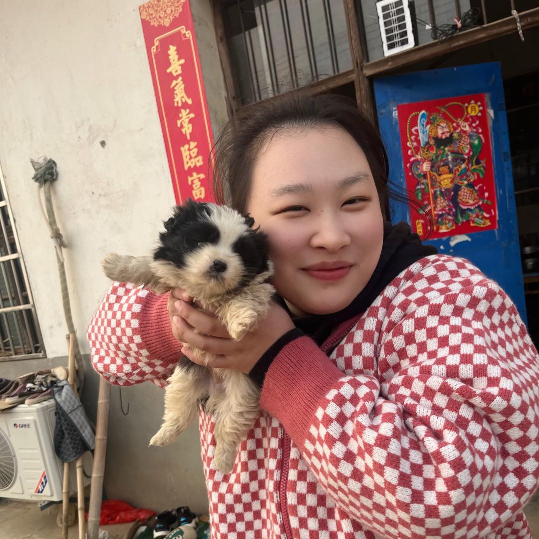 坑爹装修日记