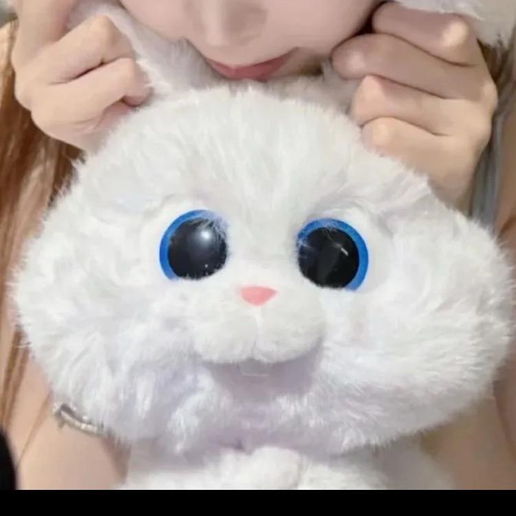 .🌙.