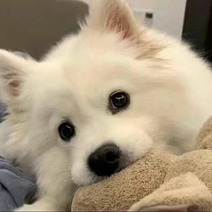 别吵我睡觉. 🥦ᴿᙆ