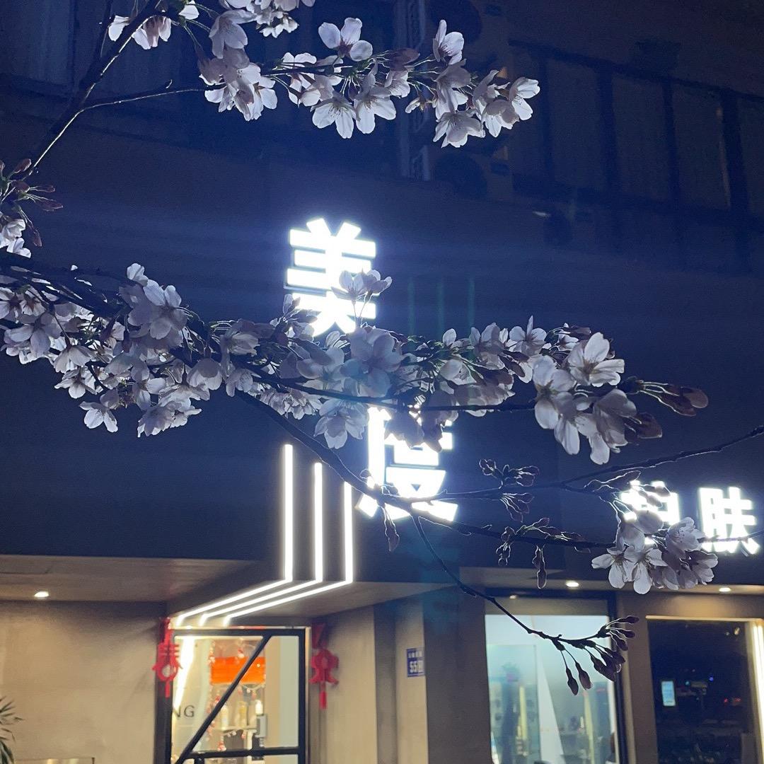美度xx