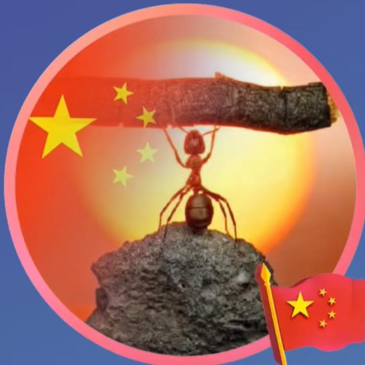 捕风汉子