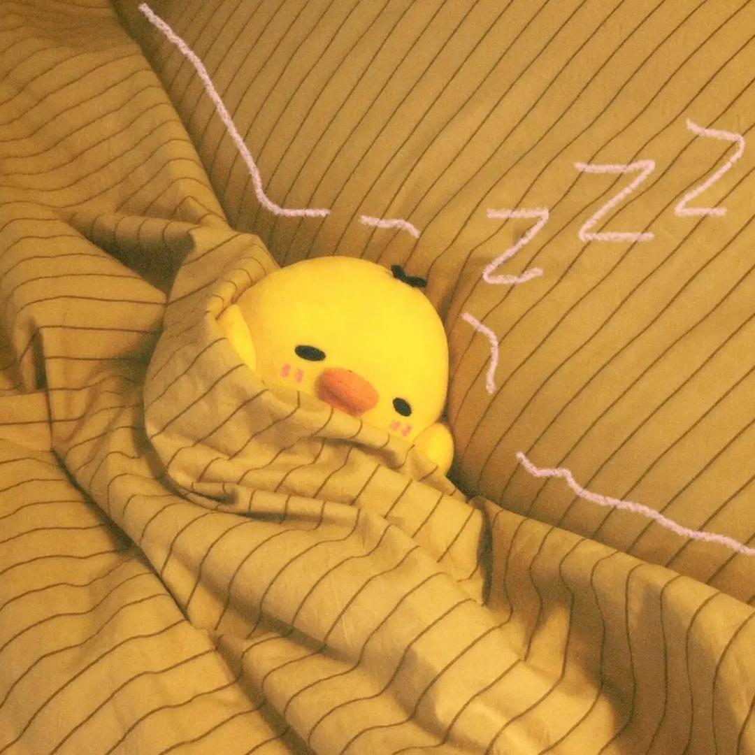 我的女朋友很可爱