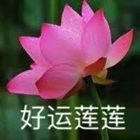 萍姐爱生活⁵¹¹