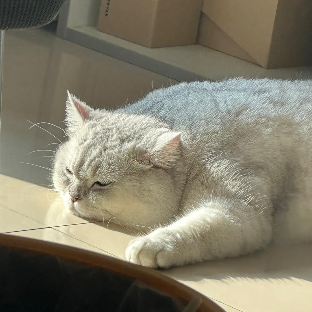 野生选手✨