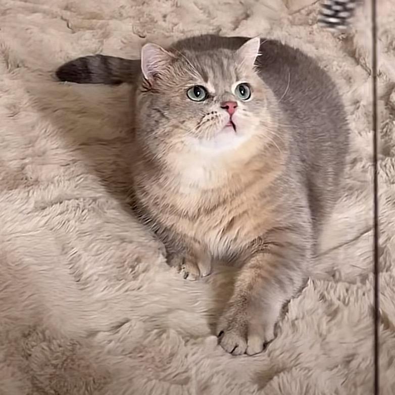 🌈郑洁的幸福生活😊