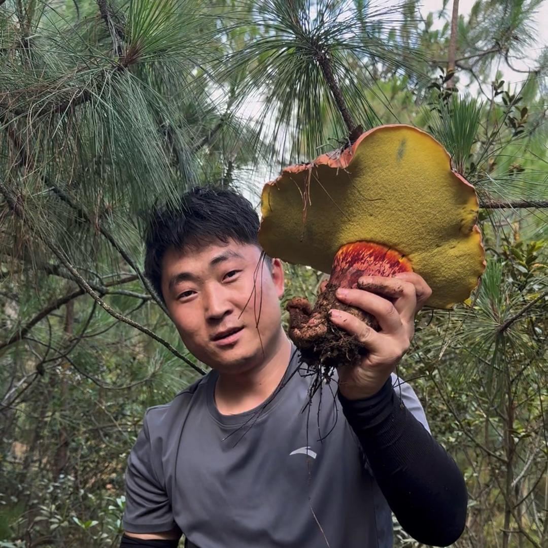 小钢炮【彭刚】