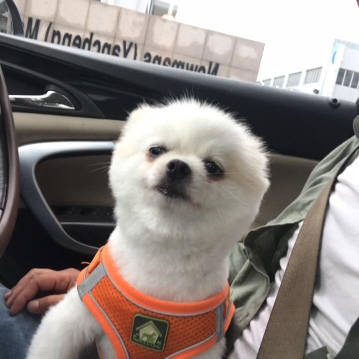 一帆风顺