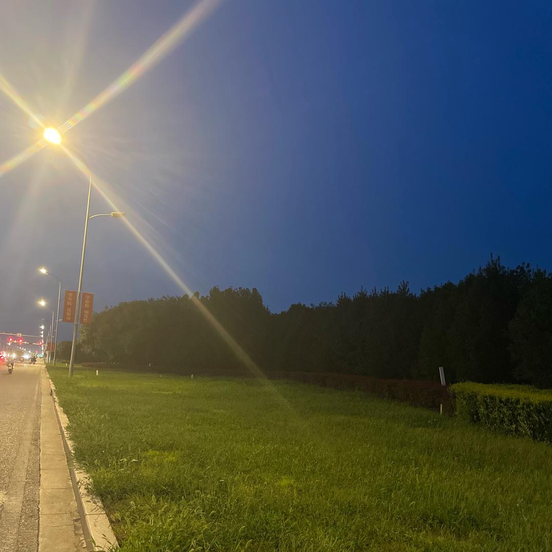 阳光彩虹小黑马