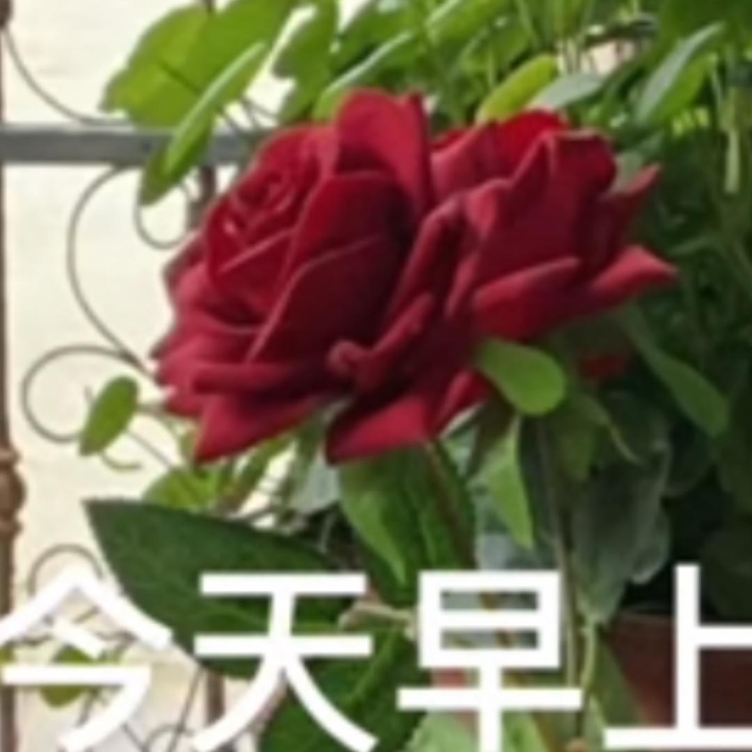 ꦻ⃟💓꯭ོ✨李💞俊ꦿꦶ࿐