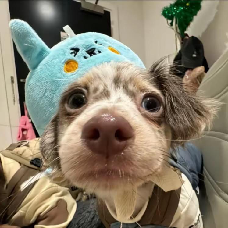 我也不是无所不能