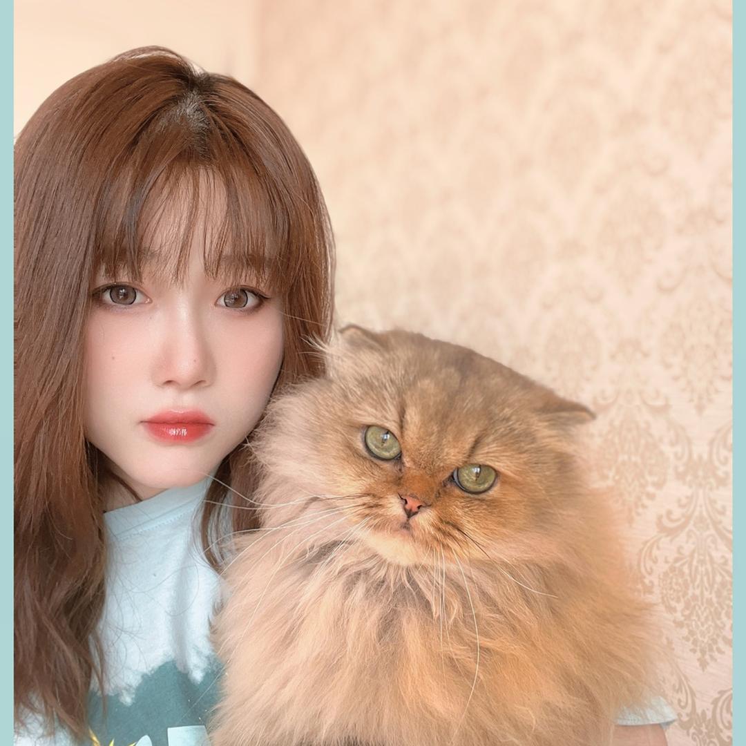 猫酱讲猫知识