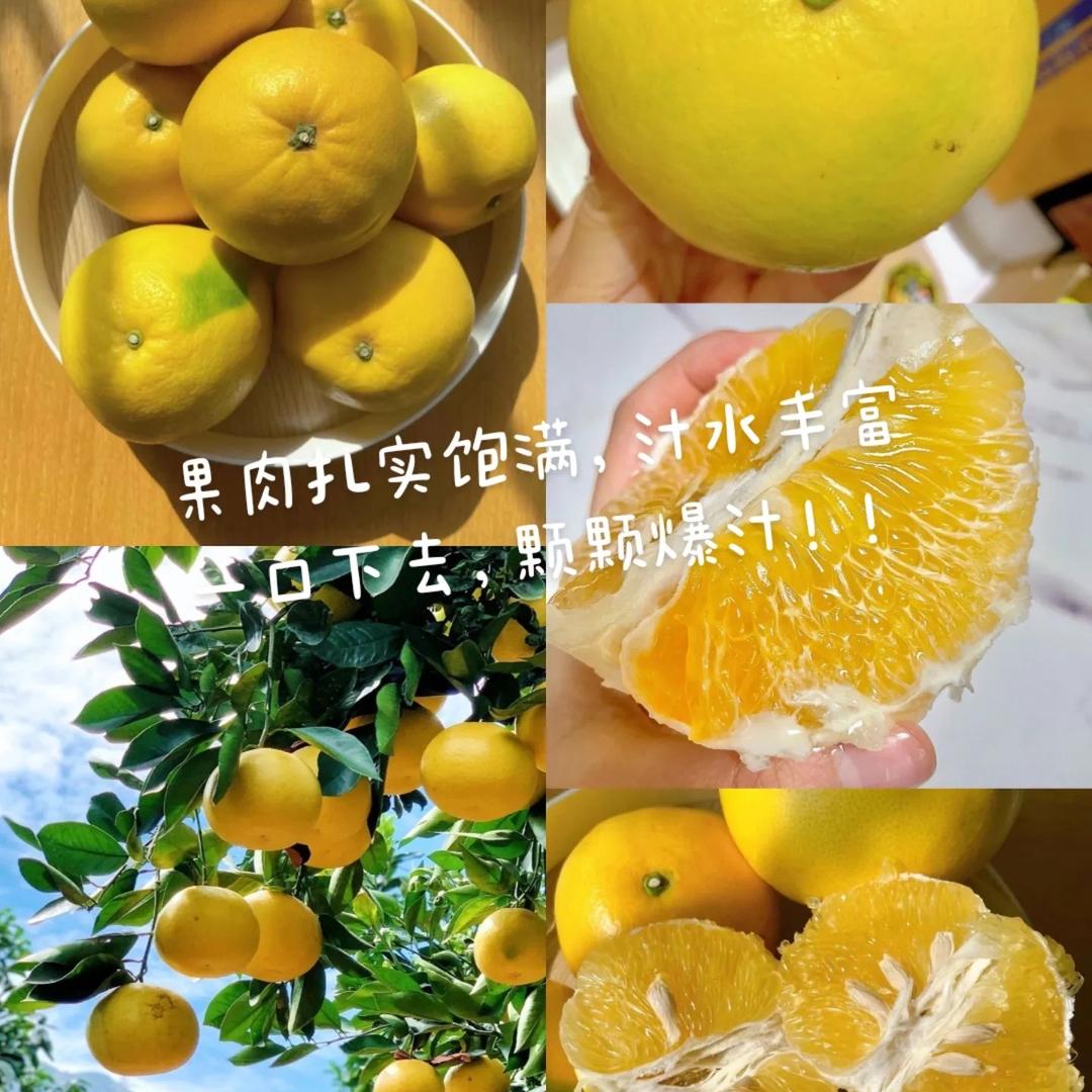 本该时鲜文文果园