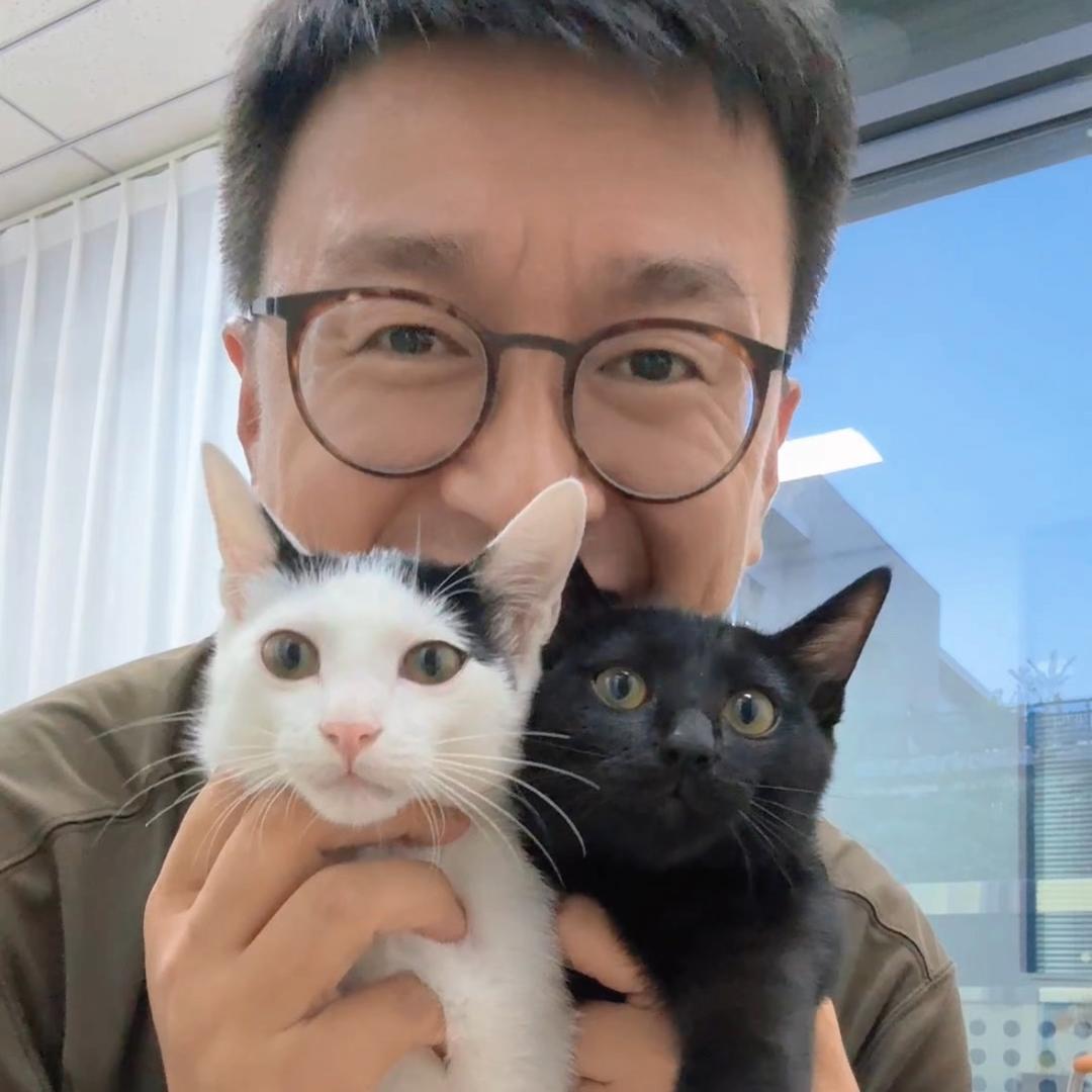 柿子菌meow@抖音