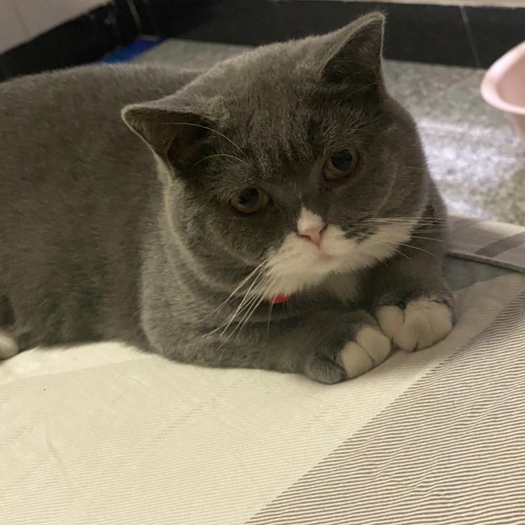 @青苔顽石（艺丰新材料）