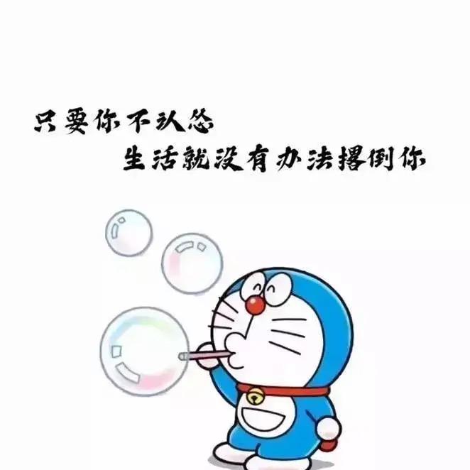 叮铛猫、🐱