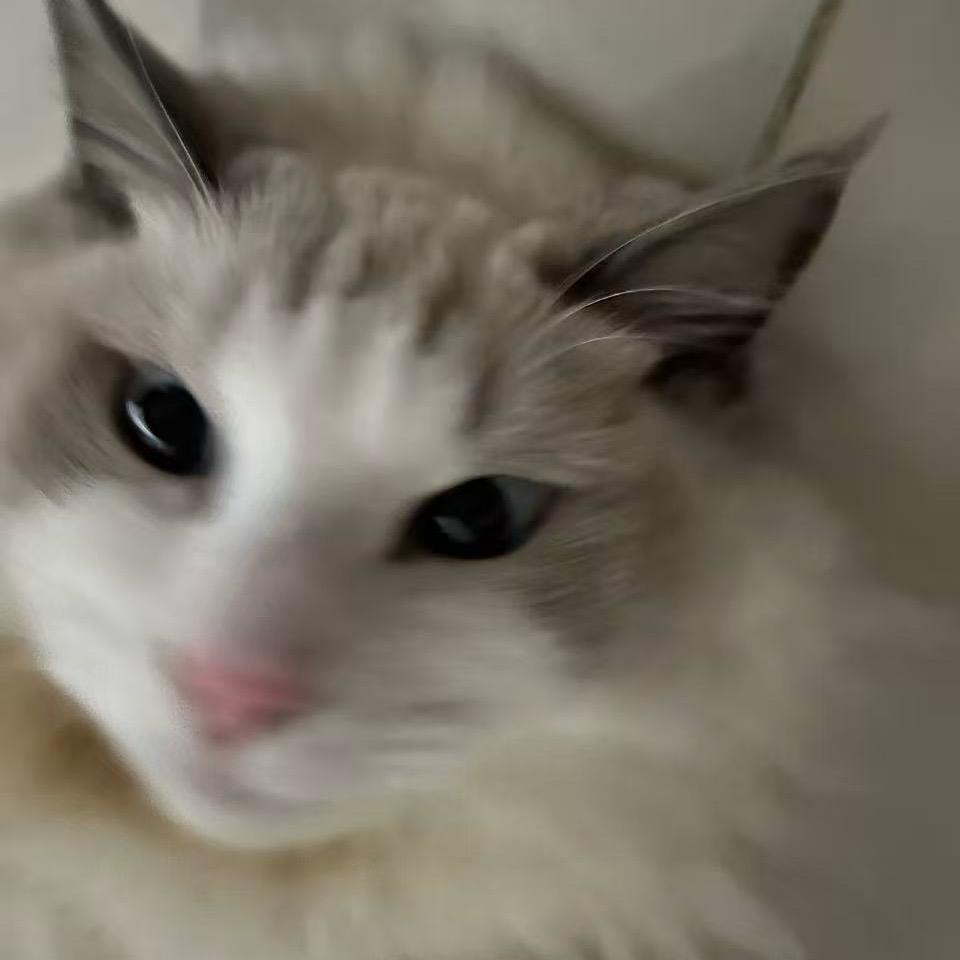 老公（三角洲行动）