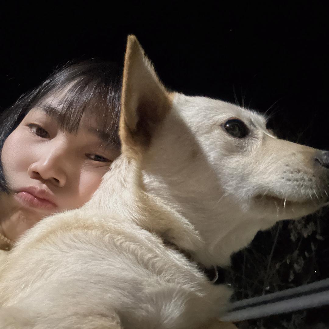 大向的日常🤣