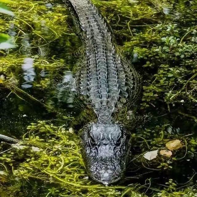 随缘而来