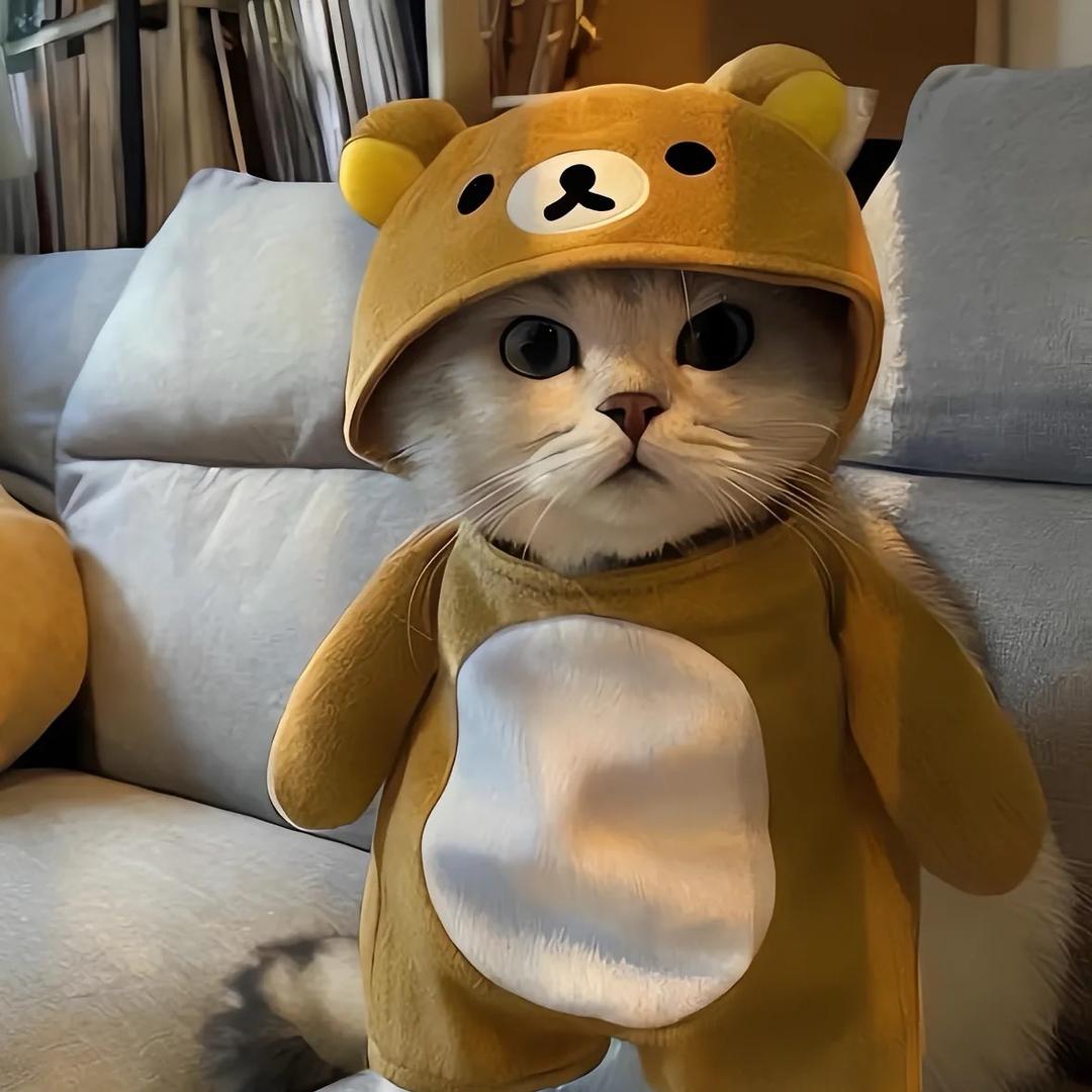 吃货达人
