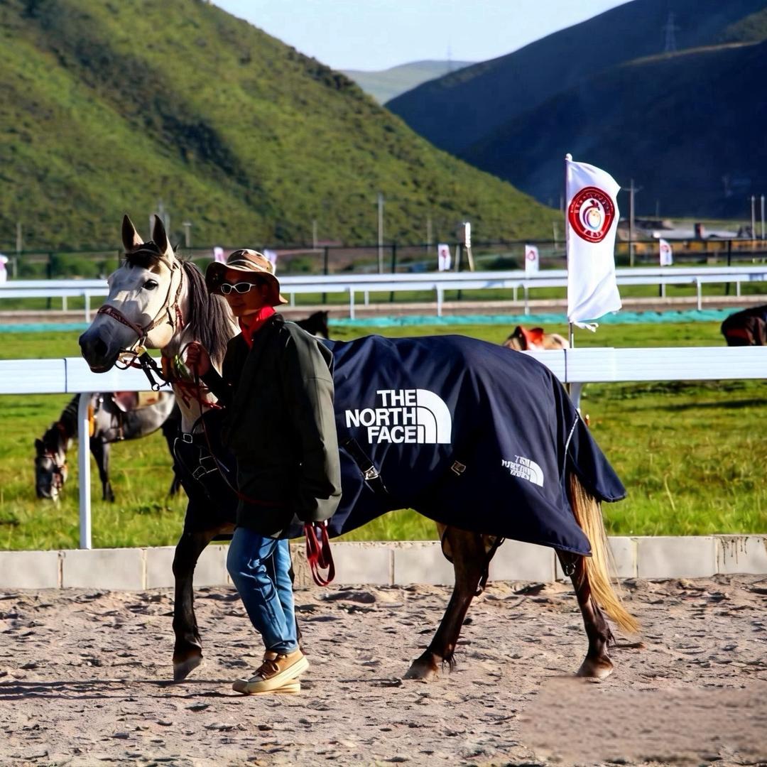 @有温度的冬天❄️