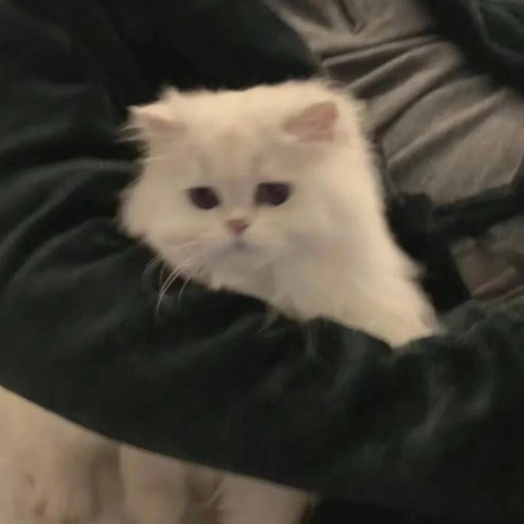 吃饱睡好