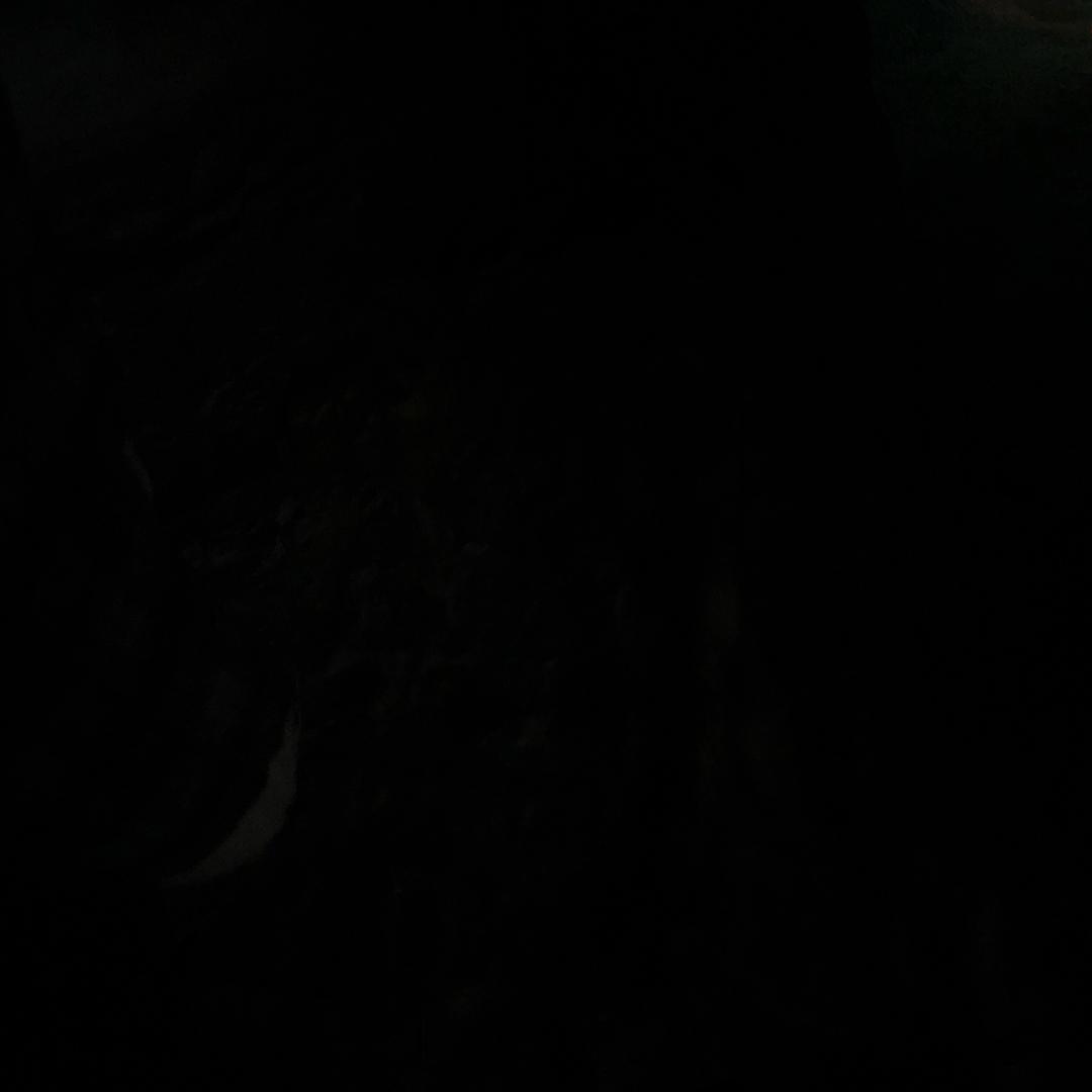 用户12780320925