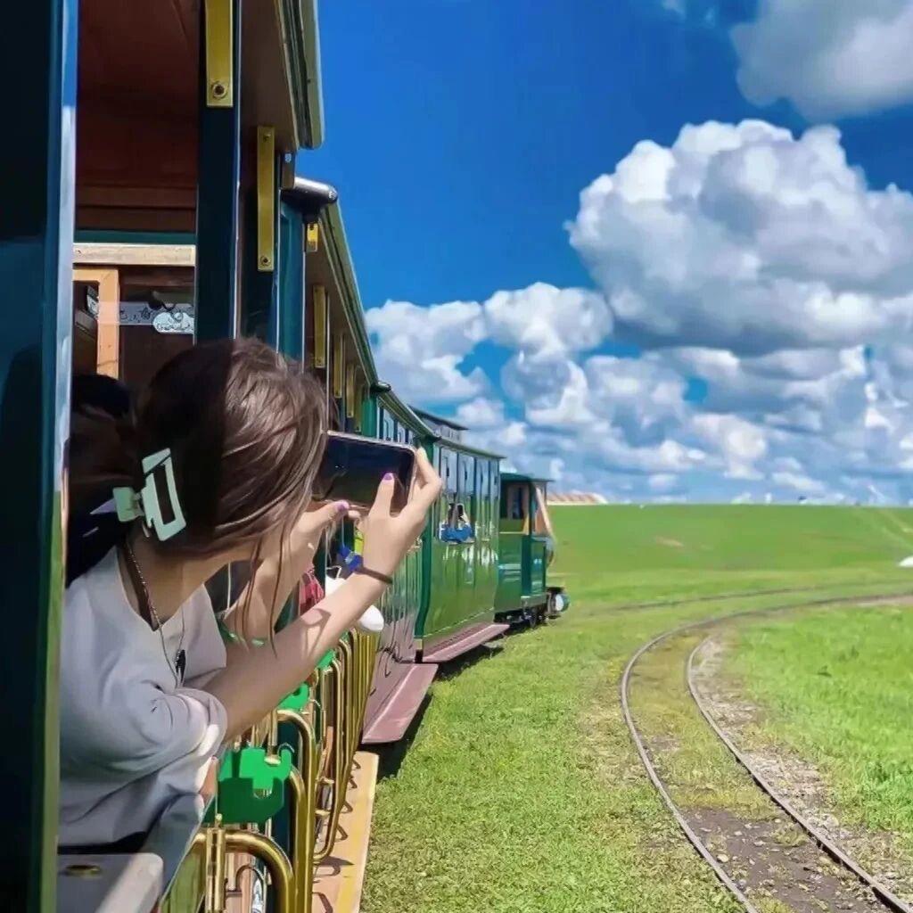 秋秋秋.