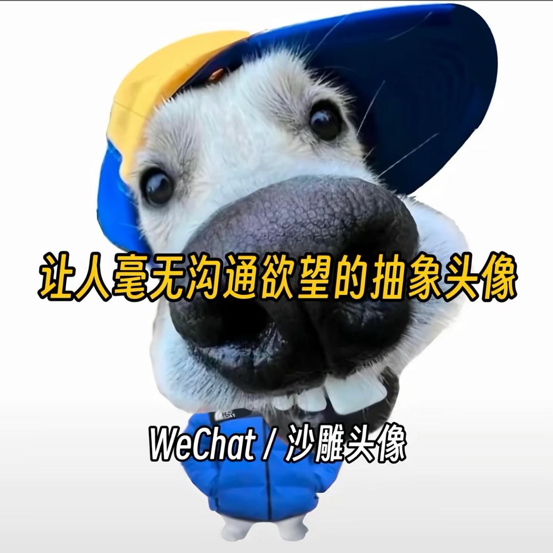 帅爆的鸡蛋