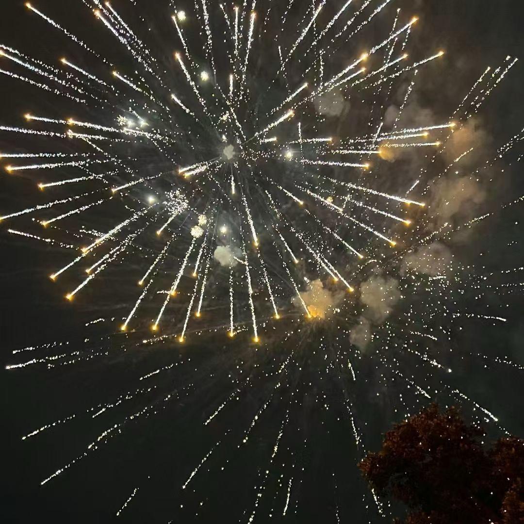 爱看虎狮