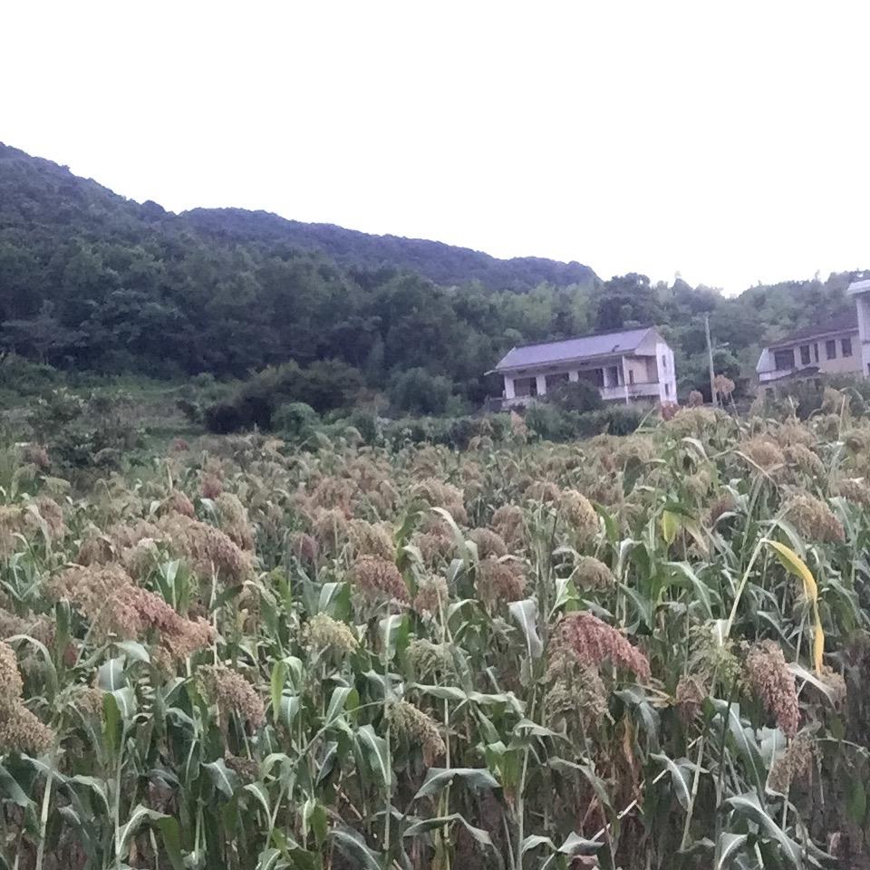 经历不完的坎坷……