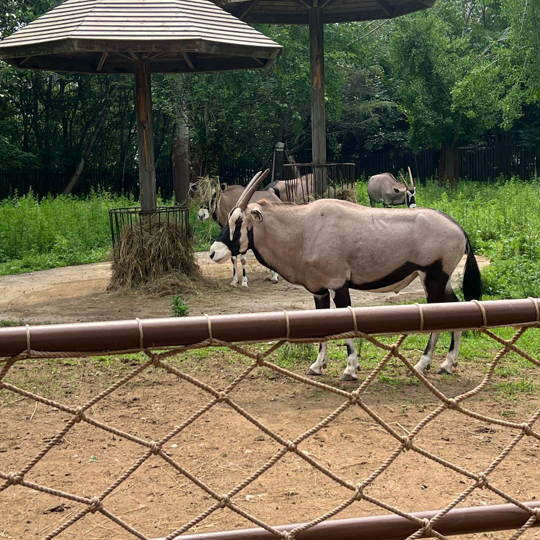 聚淘好物电子商务