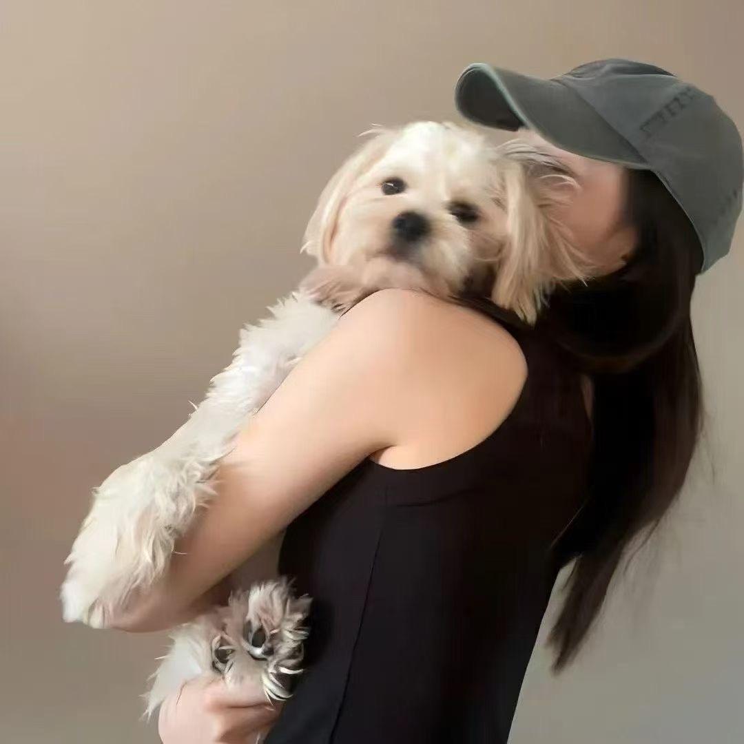 糊涂美少女.