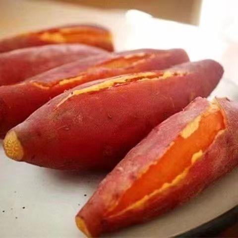 果果呗
