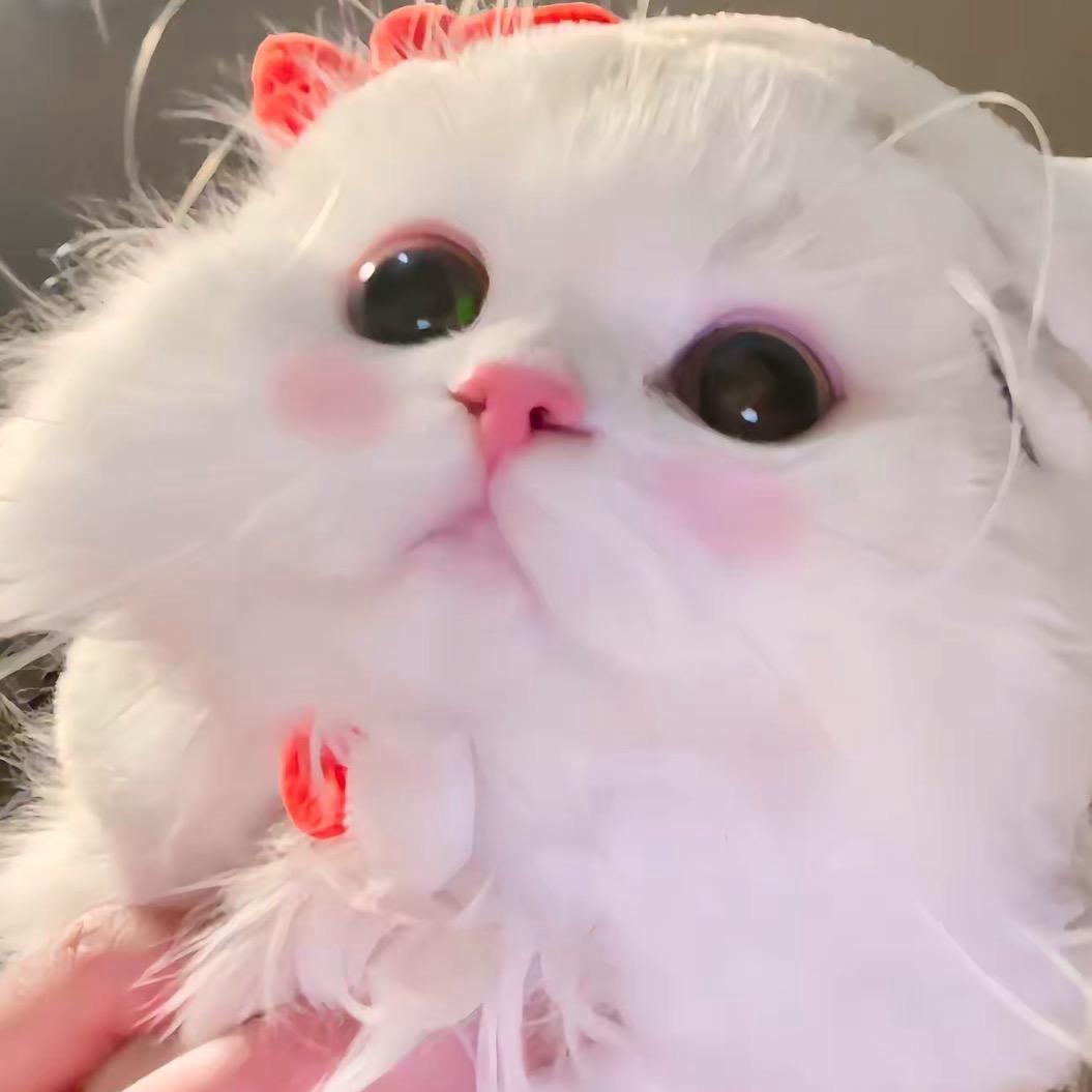 不吃生姜