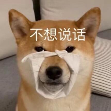 小土壳马子