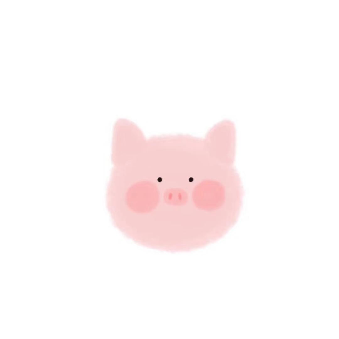 毛阿俞