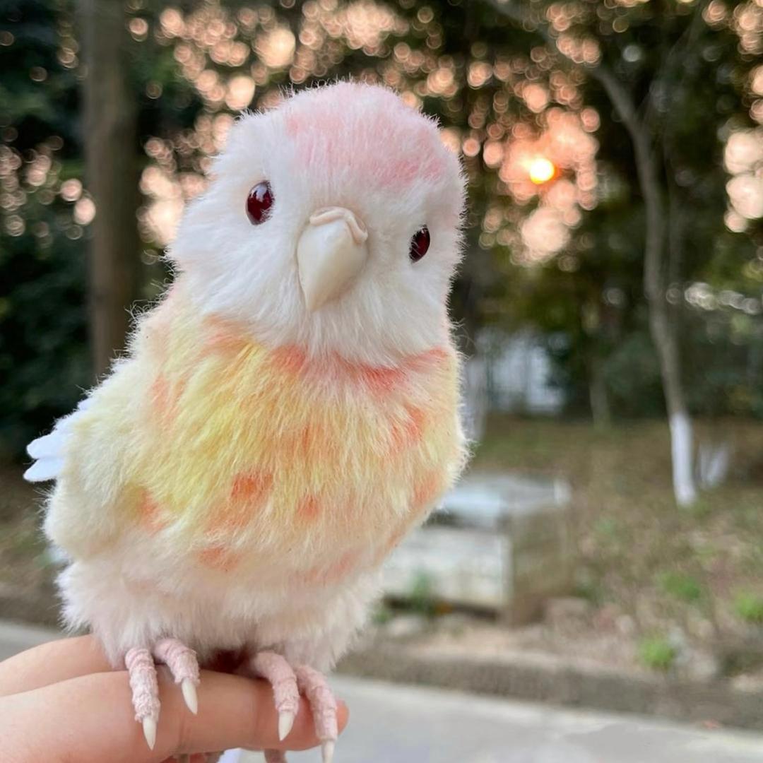 ✨๑´0`๑小奶芙.🌈💙